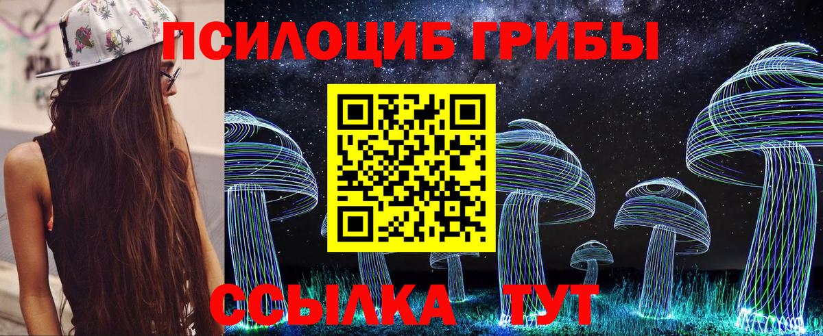 Псилоцибиновые грибы Psilocybine cubensis Большой Камень